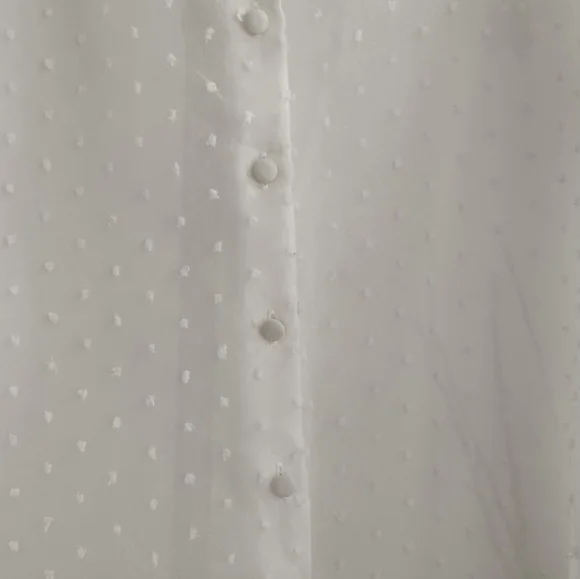 Zara Organza Puff Sleeve Blouse - Picture 7 of 10